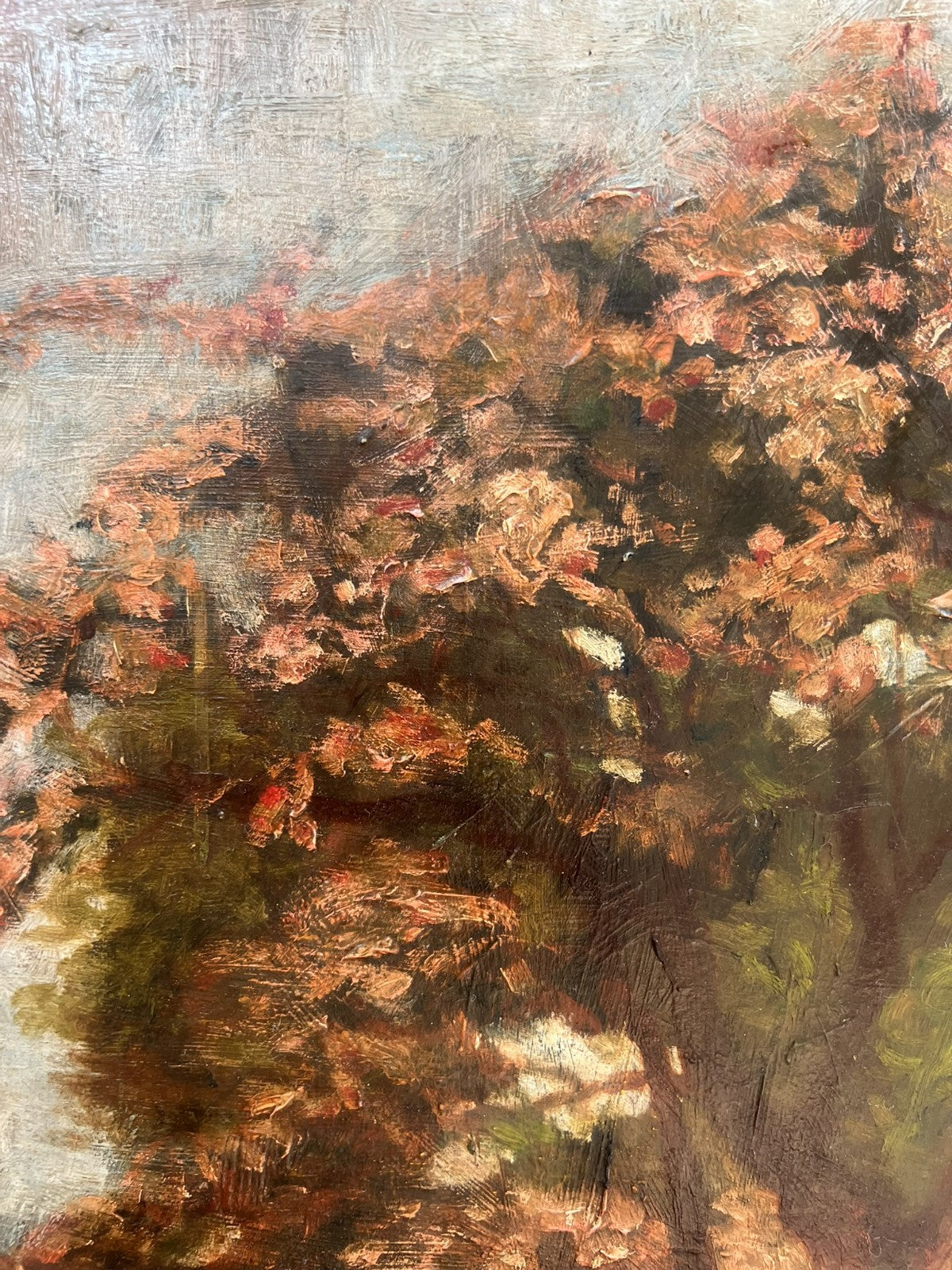 Francis S Walker RHA RE – Irish Oil on Board Stunning Blossom Landscape 45×60cm