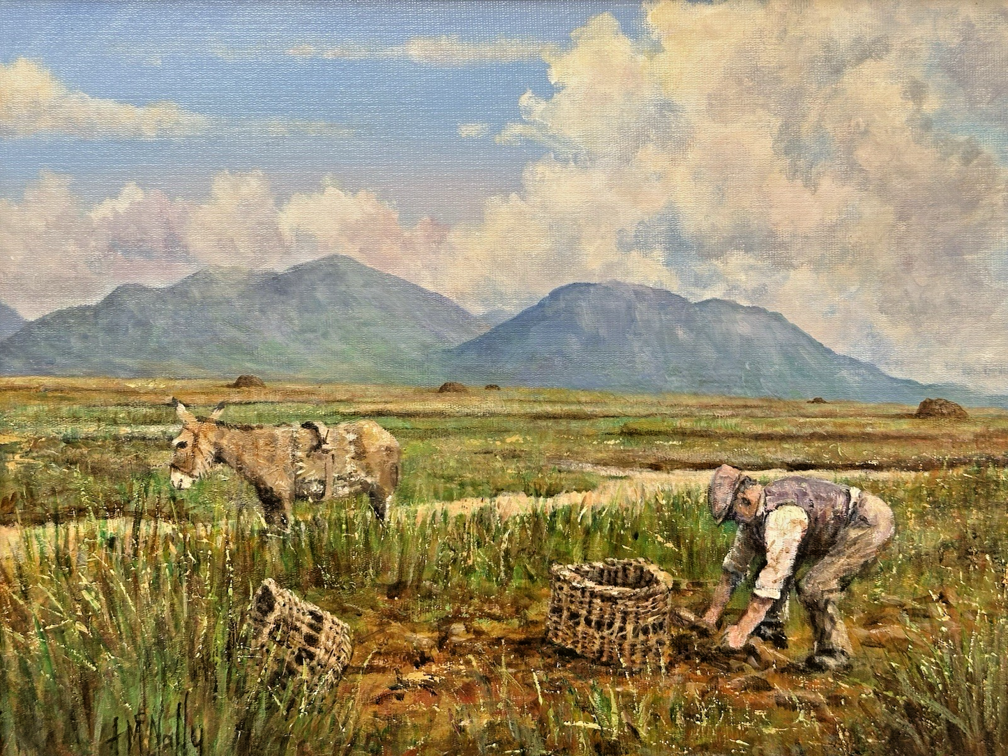 Tony McNally - Irish Landscape Signed Oil on Canvas - Working the Land 40x30cm