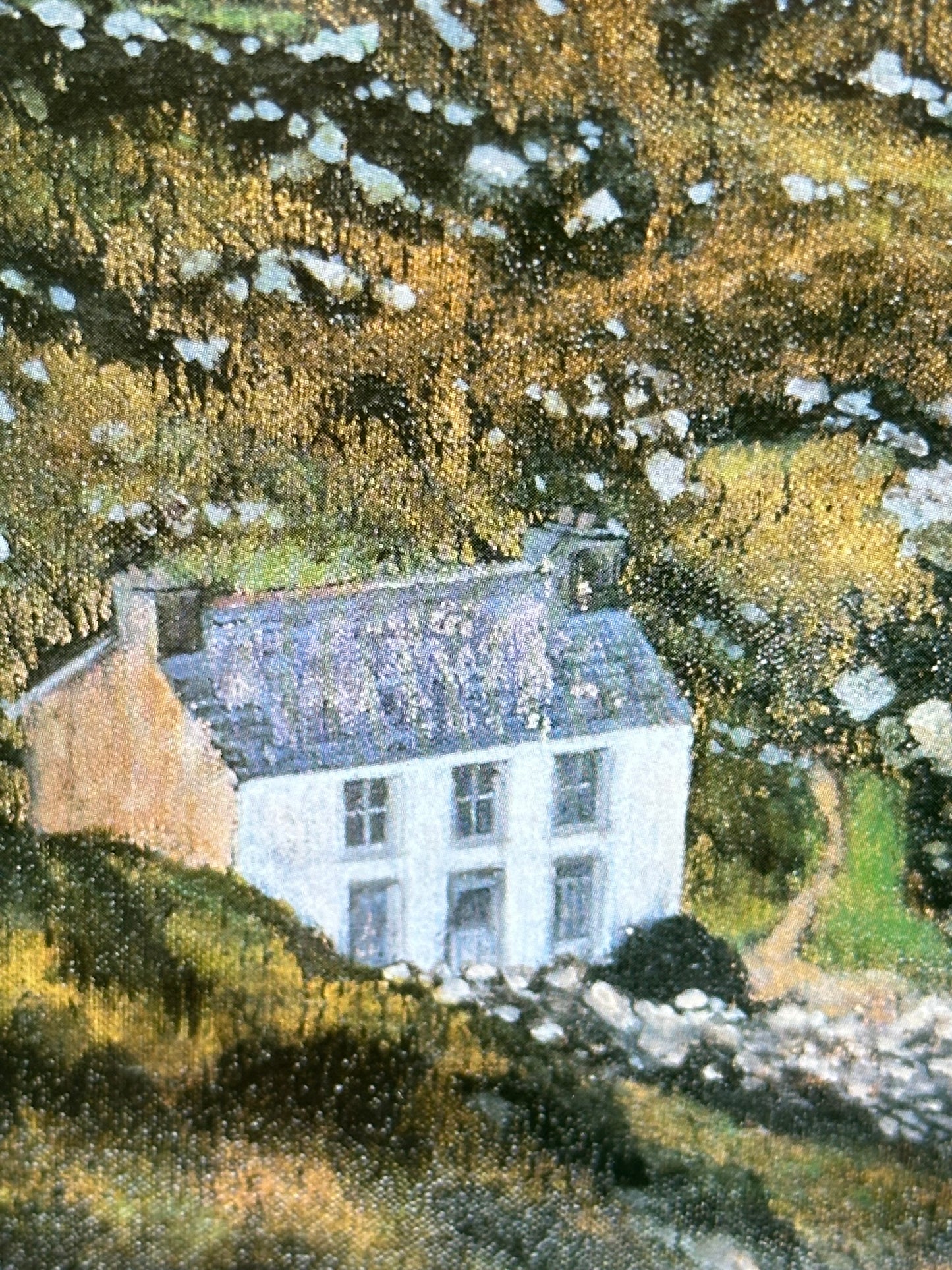 Tim Goulding Lahersheen 1998 Signed Limited Edition Print Irish 1998 54x41cm