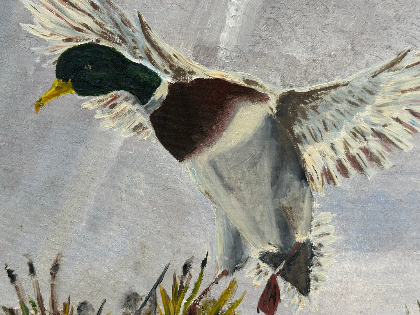 George Kosinski (Scottish) Original Oil Painting - Mallard Ducks Landing. Signed