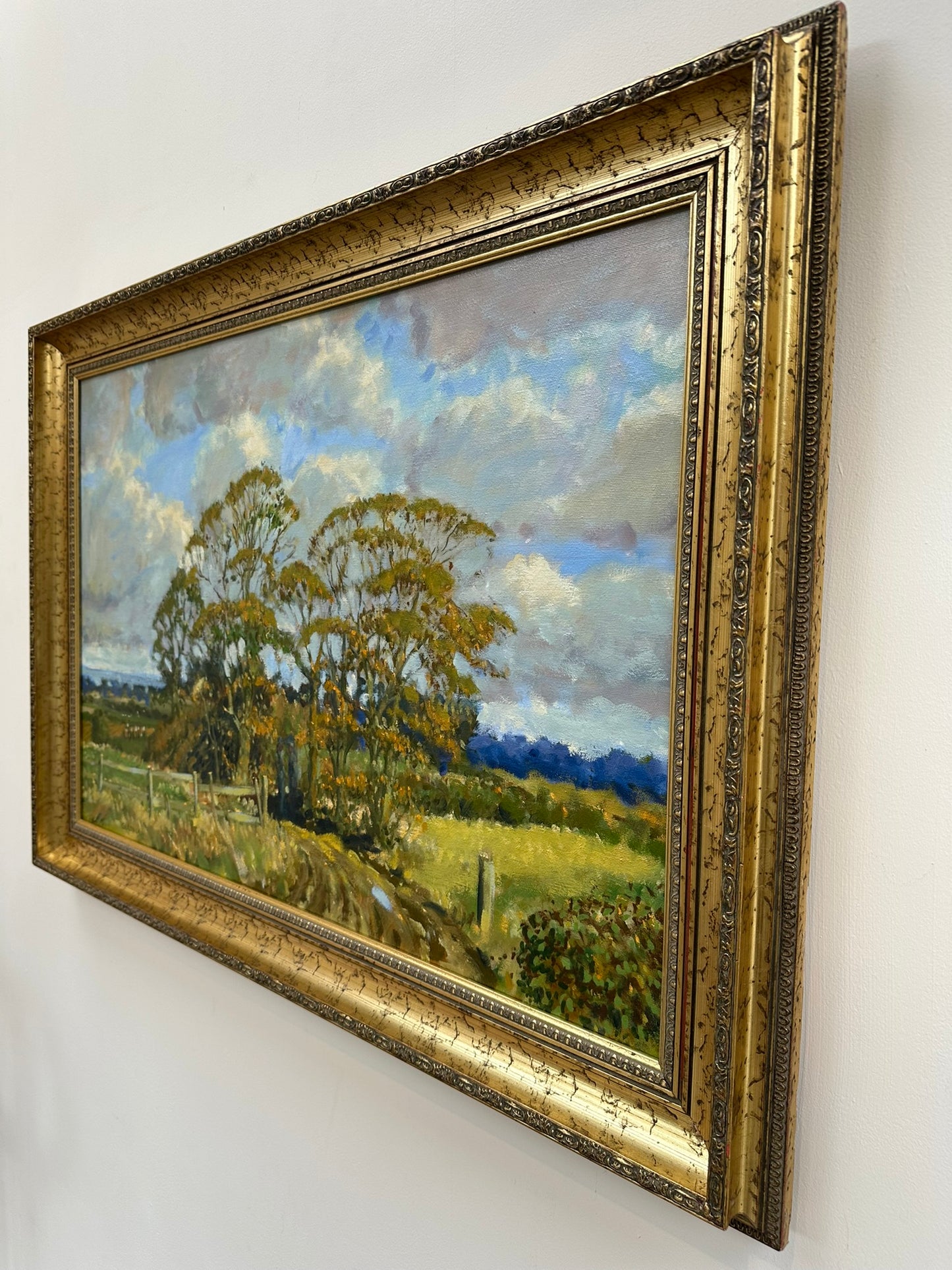 Keith Gardner RCA Large Oil on Canvas, Cheshire Landscape 77x51cm Signed Framed