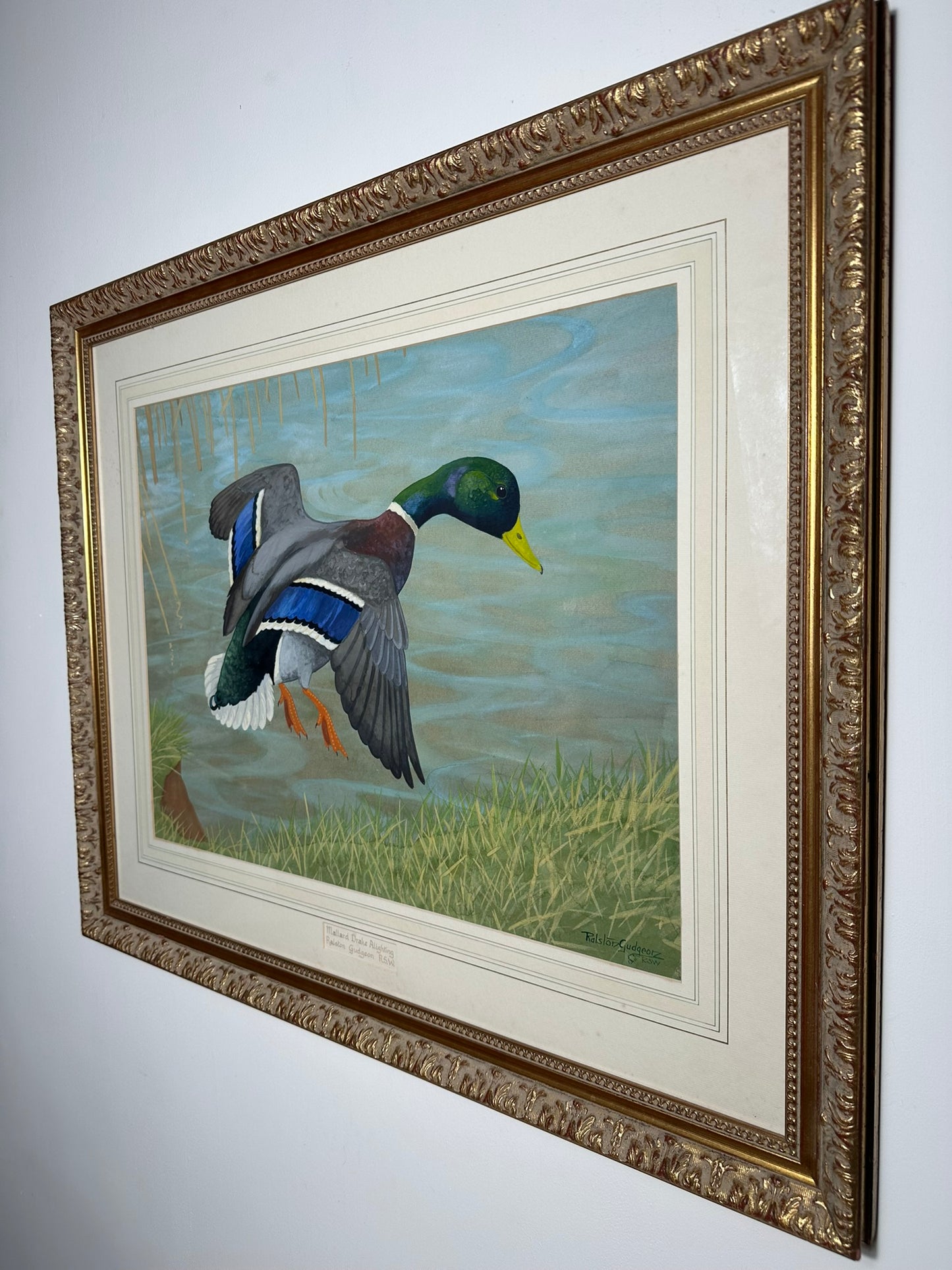 Ralston Gudgeon RSW Scottish - Mallard Duck Large Original Watercolour 60x45cm