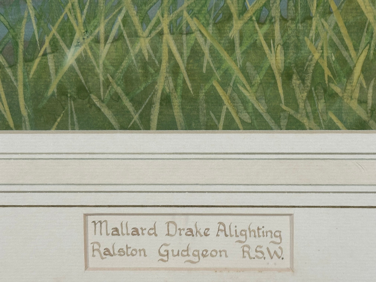 Ralston Gudgeon RSW Scottish - Mallard Duck Large Original Watercolour 60x45cm